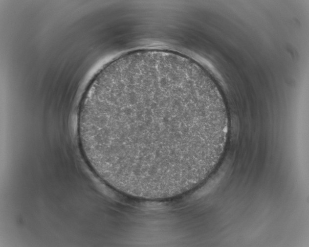 X0000112831424200910021213