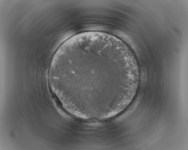 X0000112831425200910021213