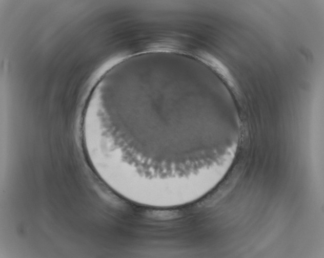 X0000112831427200910021213