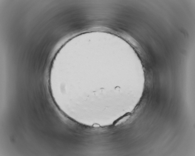 X0000112831430200910021213