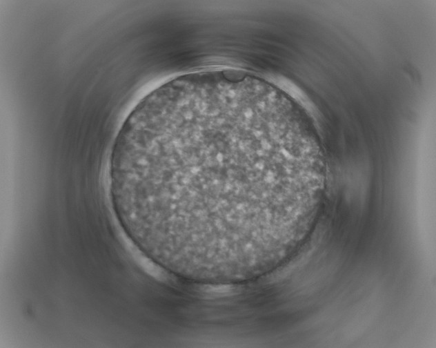 X0000112831431200910021213