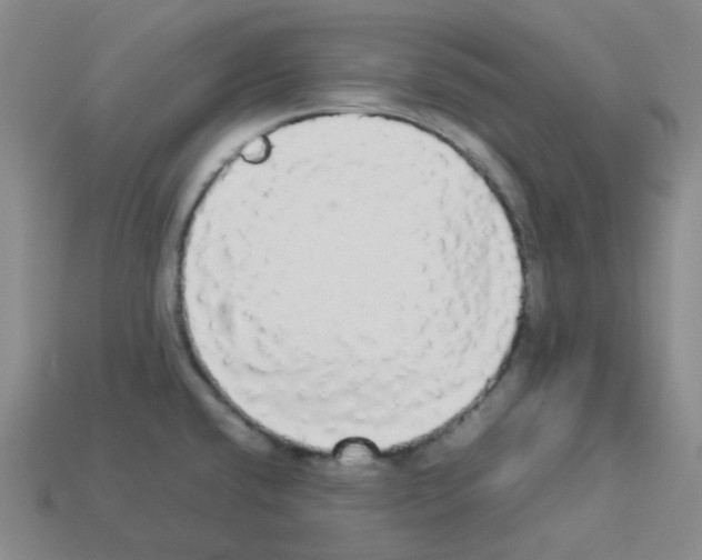 X0000112831432200910021213