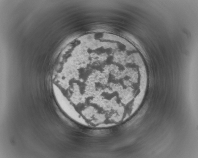 X0000112831433200910021213