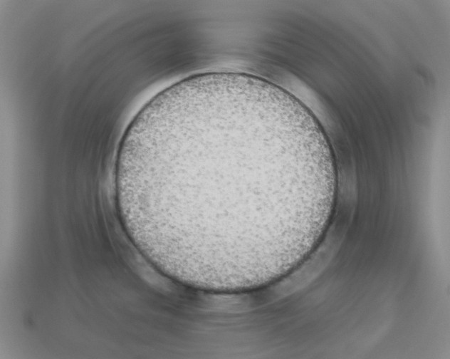 X0000112831436200910021213