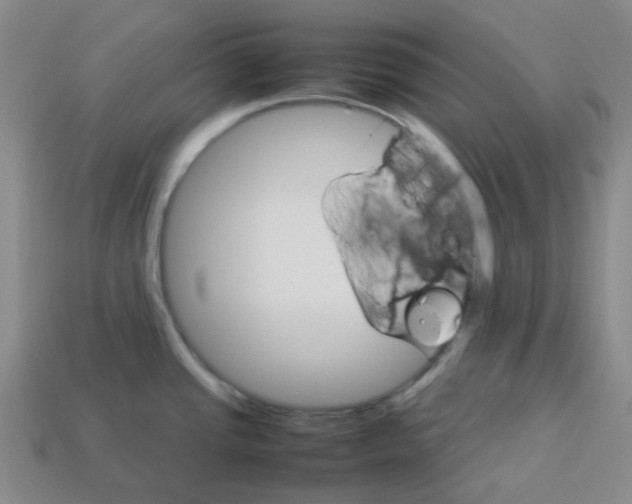 X0000112831437200910021213