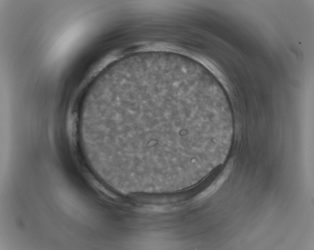 X0000112831438200910021213