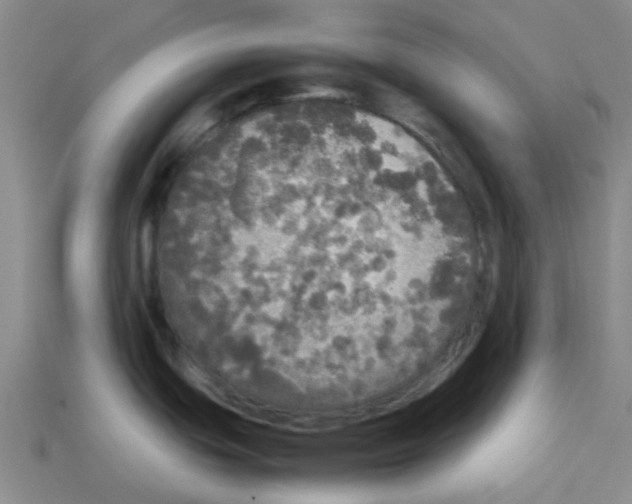 X0000112831439200910021213