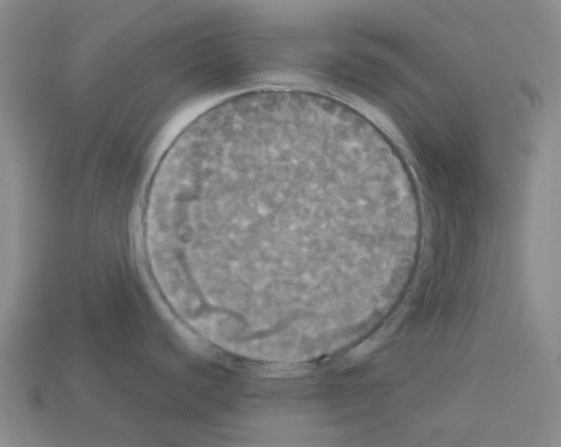 X0000112831440200910021213