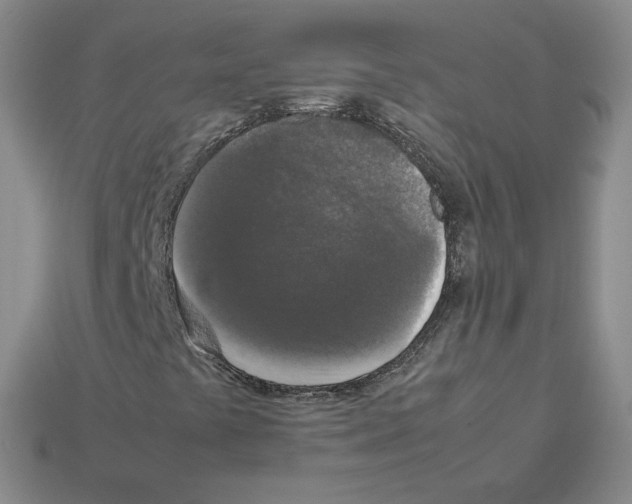 X0000112831441200910021213