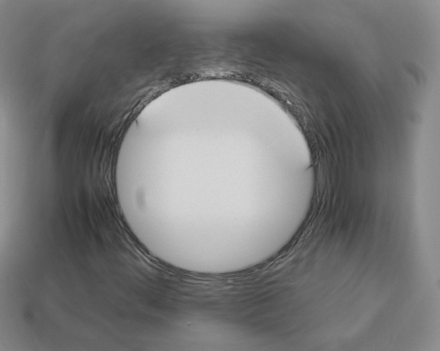 X0000112831444200910021213