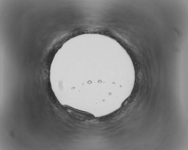 X0000112831447200910021213