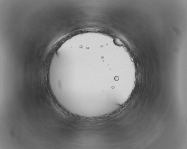 X0000112831448200910021213