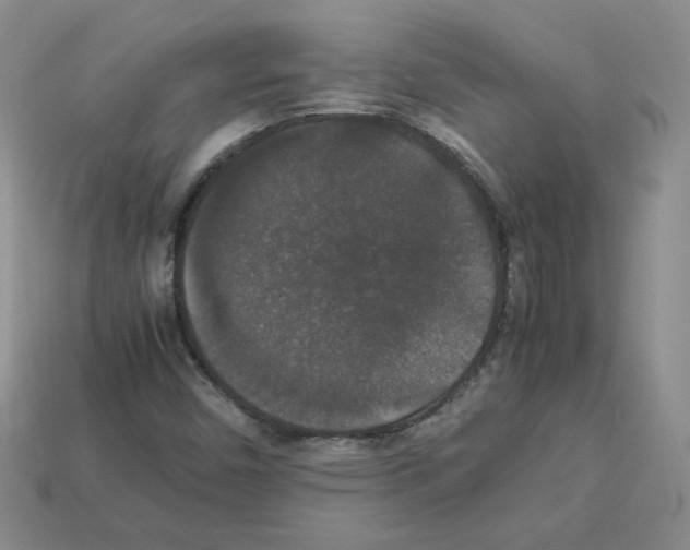 X0000112831450200910021213