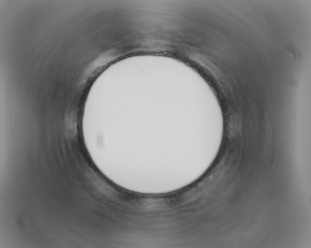 X0000112831451200910021213