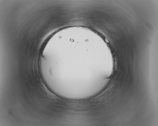 X0000112831452200910021212