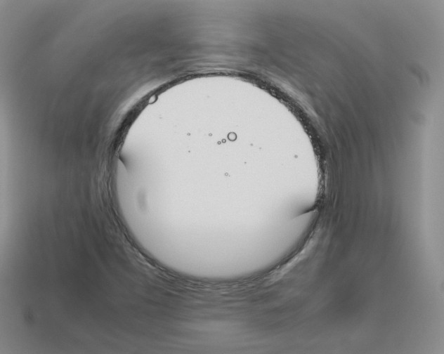 X0000112831453200910021212