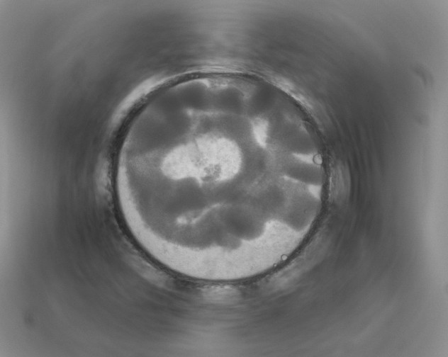 X0000112831454200910021212