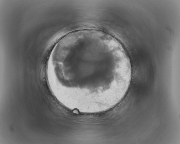 X0000112831455200910021212