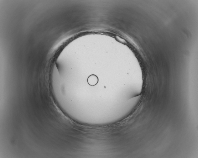 X0000112831456200910021212