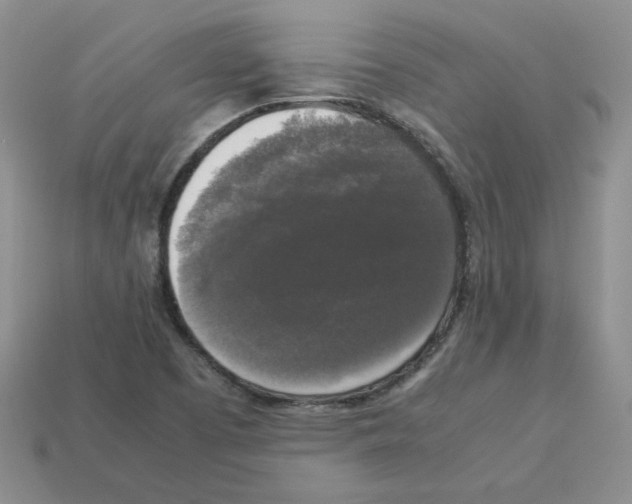 X0000112831457200910021212