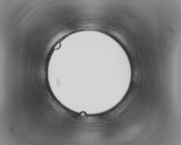 X0000112831458200910021212