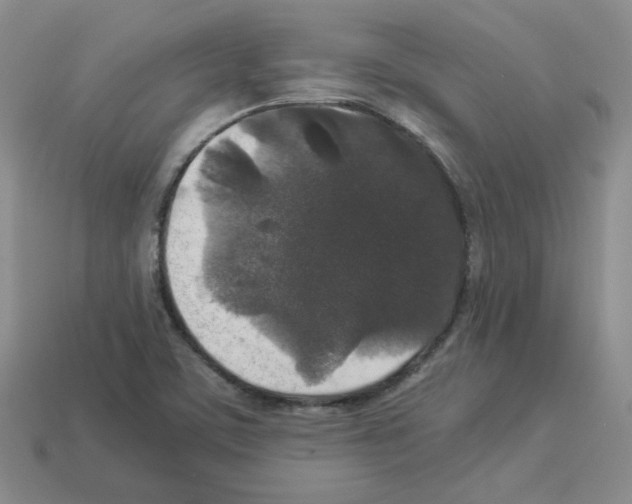 X0000112831459200910021212