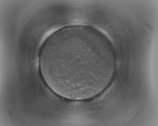 X0000112831461200910021212