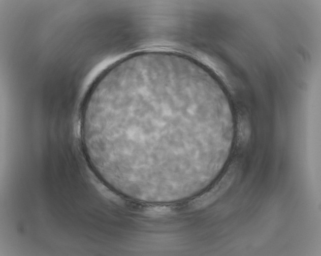 X0000112831462200910021212