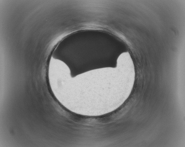 X0000112831463200910021212