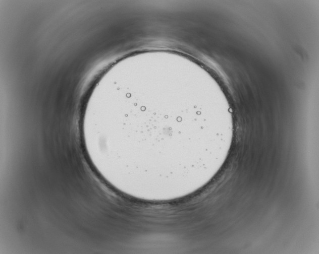 X0000112831464200910021212