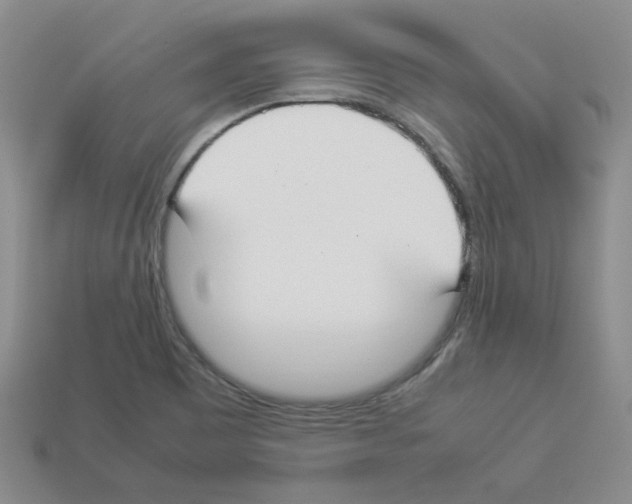 X0000112831465200910021212