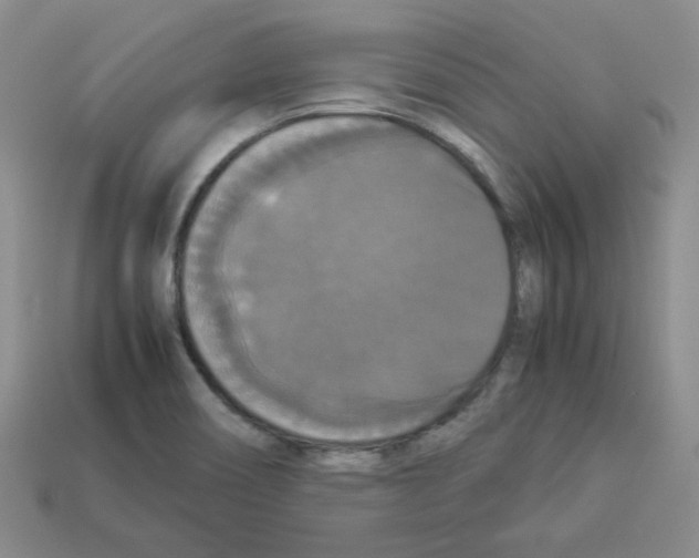 X0000112831466200910021212