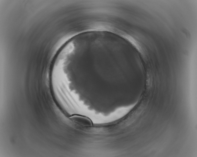 X0000112831468200910021212