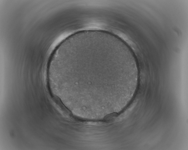 X0000112831469200910021212