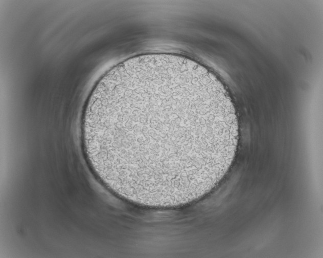 X0000112831471200910021212