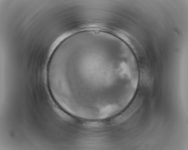 X0000112831474200910021212