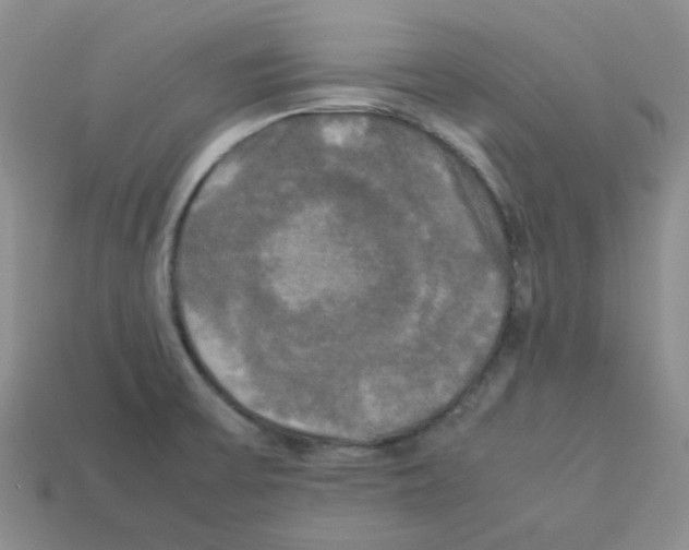 X0000112831475200910021212