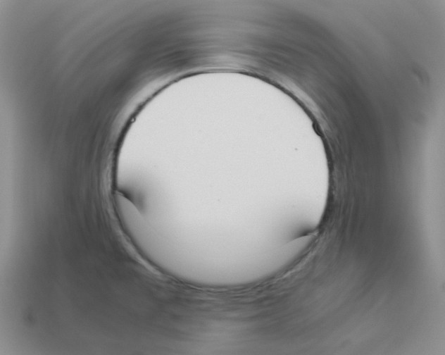 X0000112831477200910021212