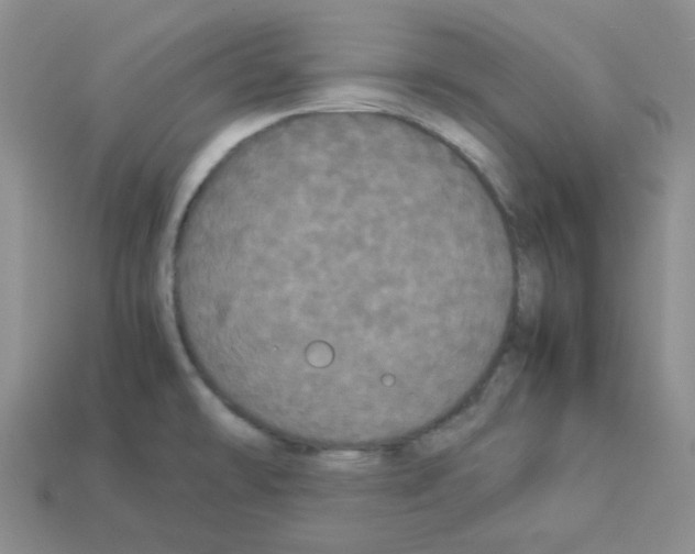 X0000112831478200910021212