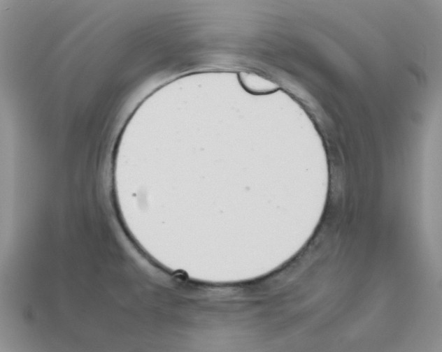 X0000112831479200910021212