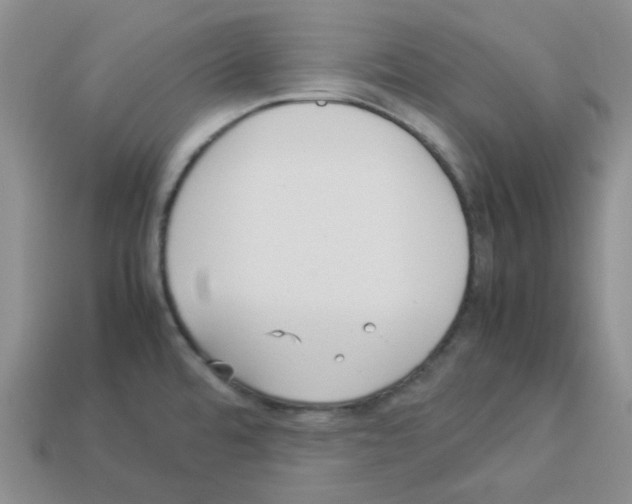 X0000112831480200910021212