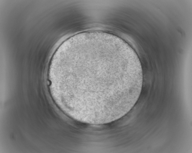 X0000112831483200910021212