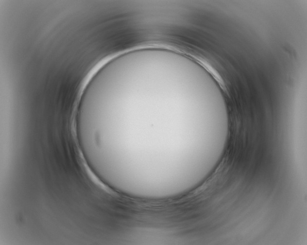 X0000112831484200910021212