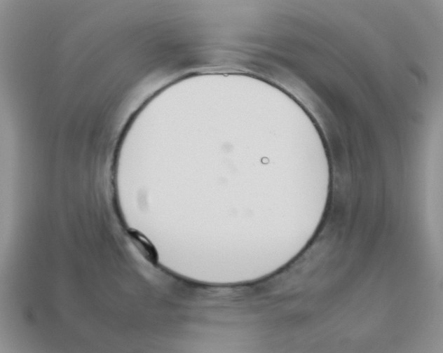 X0000112831485200910021212