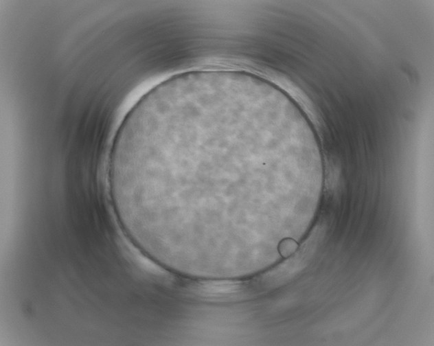 X0000112831486200910021212