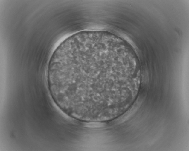 X0000112831487200910021212