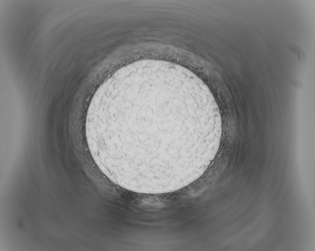 X0000112831489200910021211