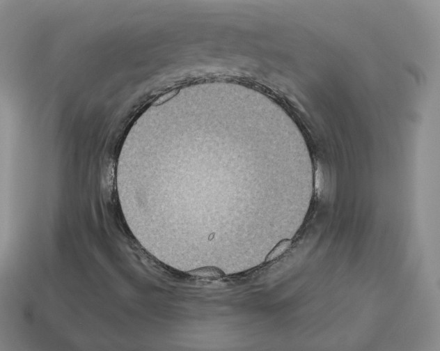 X0000112831492200910021211