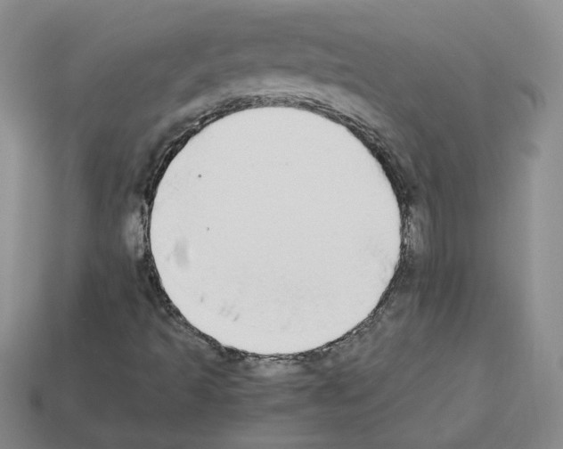 X0000112831493200910021211