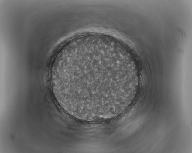 X0000112831494200910021211